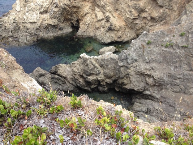 Land of the Free, Home of the Brave